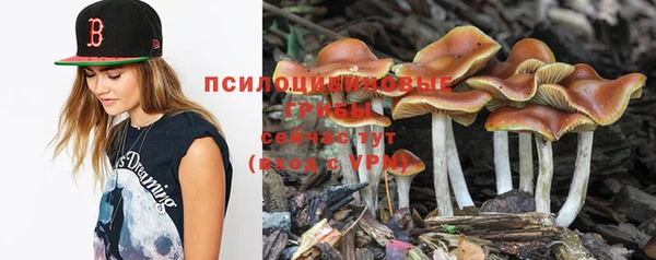 MDMA Premium VHQ Горняк