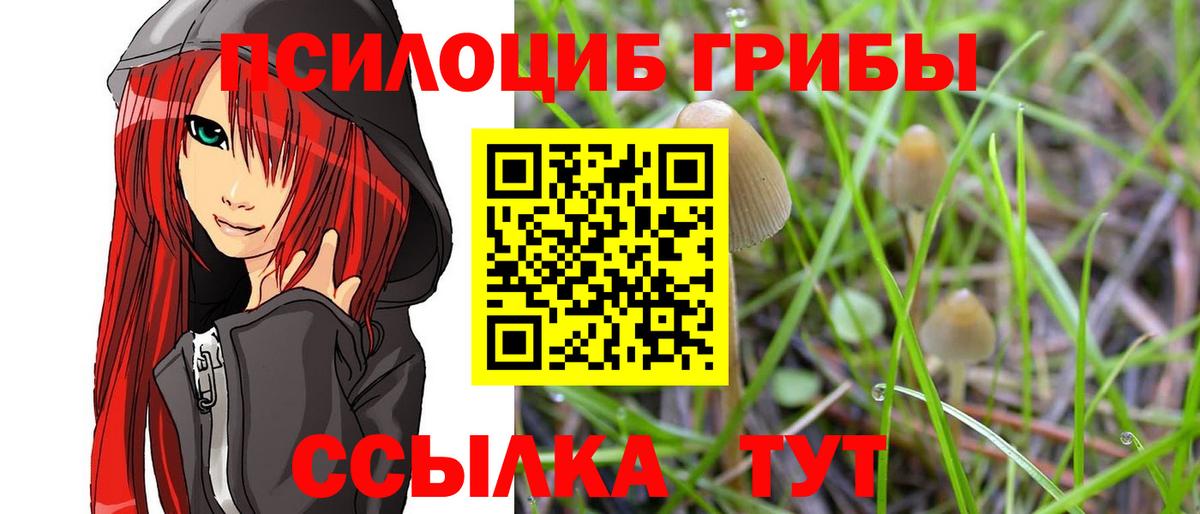 ГАШ Донецк
