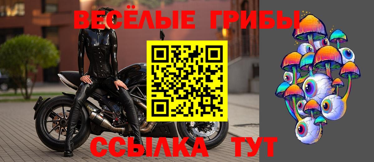 Донецк  Псилоцибиновые грибы Psilocybe  Вход с VPN 